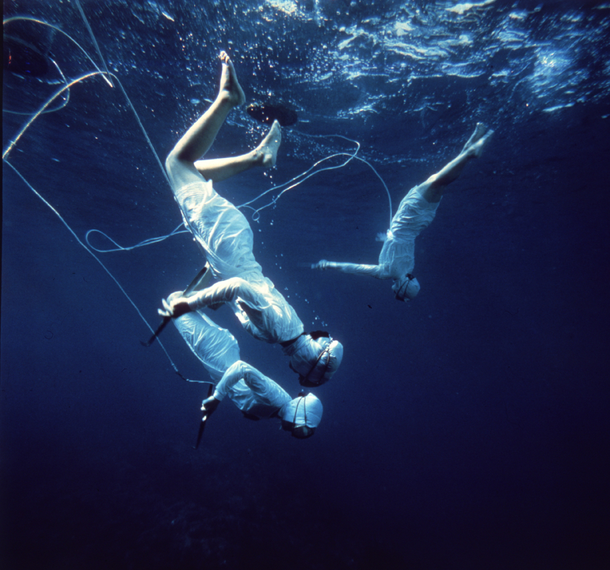 mikimoto pearl divers