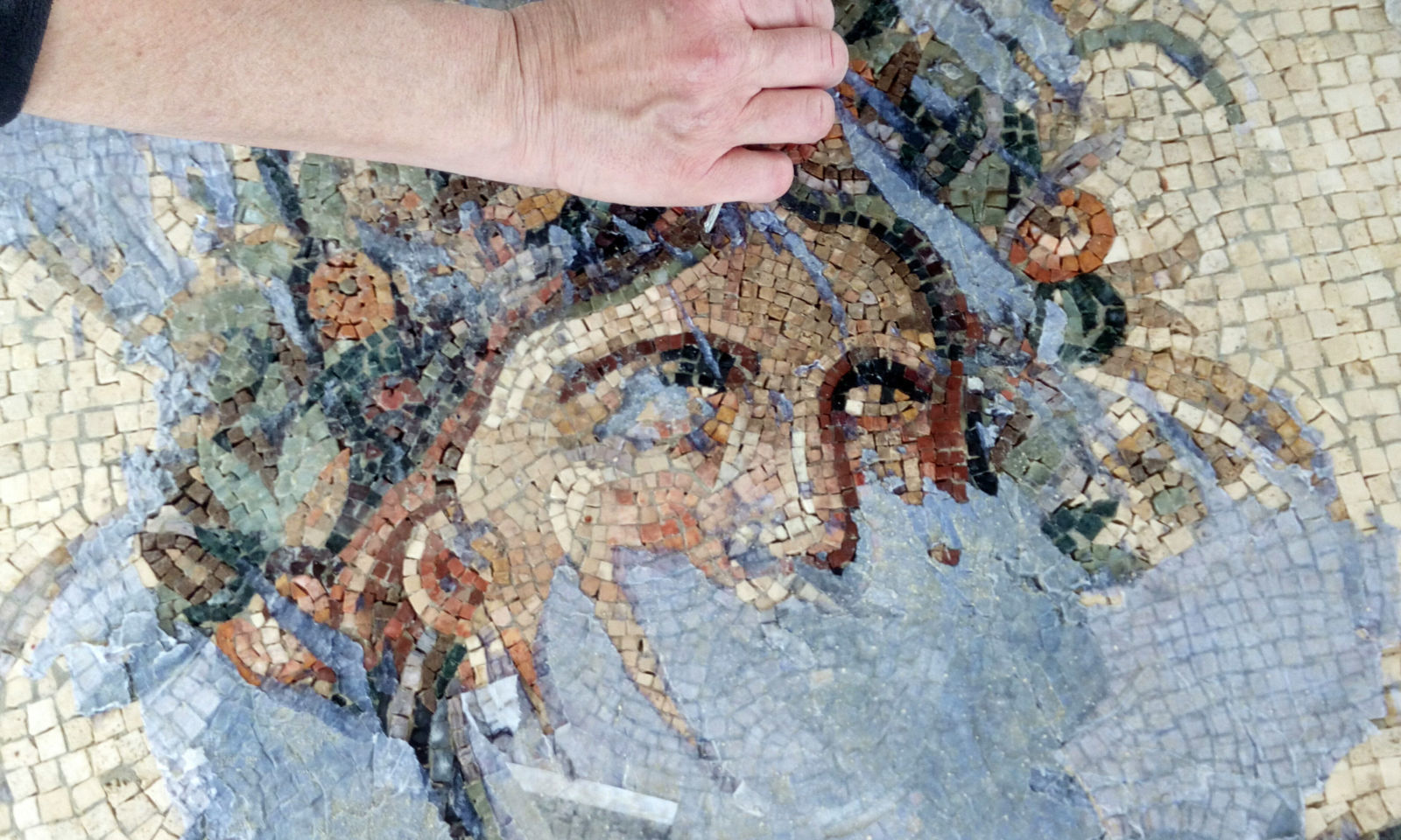 red mosaic dionisio
