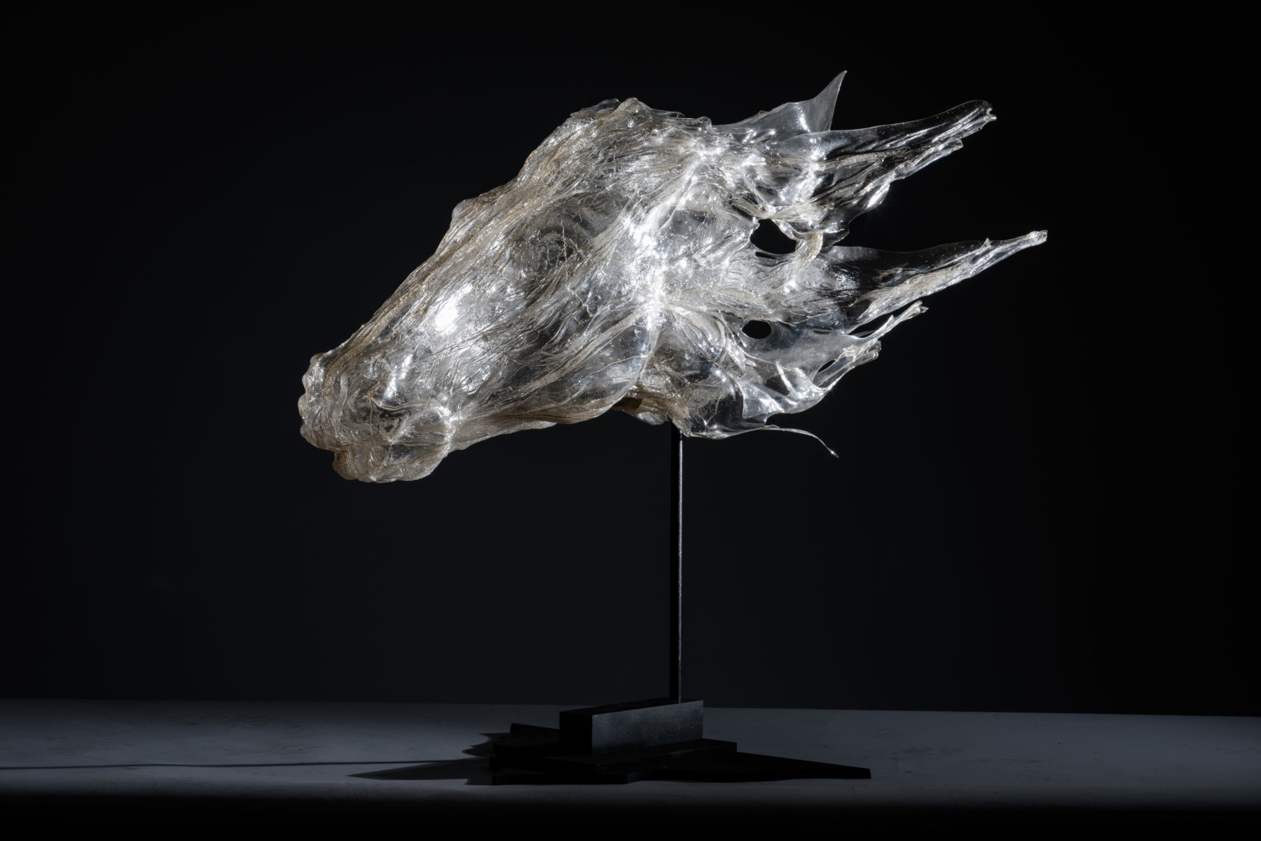 atelier dall'osso testa cavallo